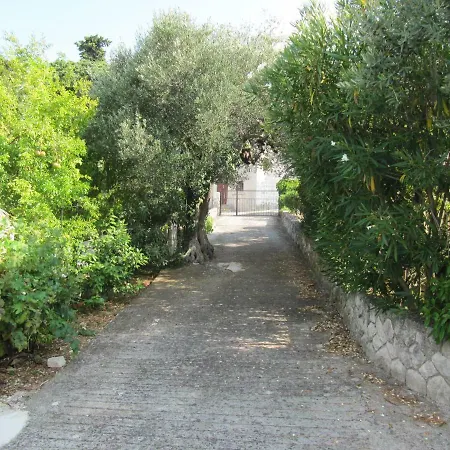 Apartmán Olive Tree Apartment, *